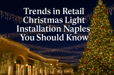 Christmas Light Installation