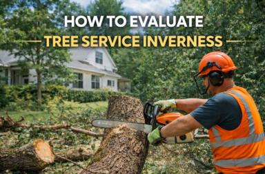 Tree service evaluation in Inverness