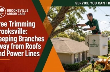 Tree trimming Brooksville