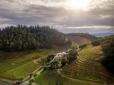 Pine Ridge Vineyards Celebrates 30 Years of Its Iconic Chenin Blanc + Viognier and Announces Expanded Role for Winemaker…